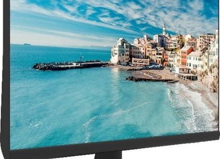 24'' monitor Full HD - alarmsysteemexpert.nl