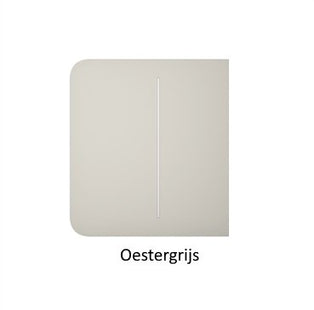 Light Switch Side Button (2-gang) - alarmsysteemexpert.nl