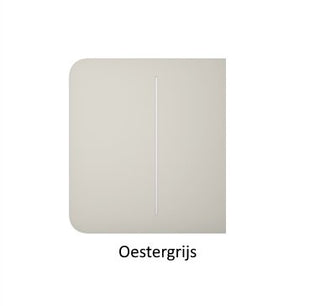 Light Switch Side Button (2-gang) - alarmsysteemexpert.nl