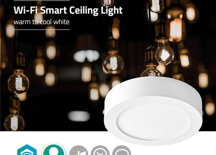 SmartLife Plafondlamp - alarmsysteemexpert.nl